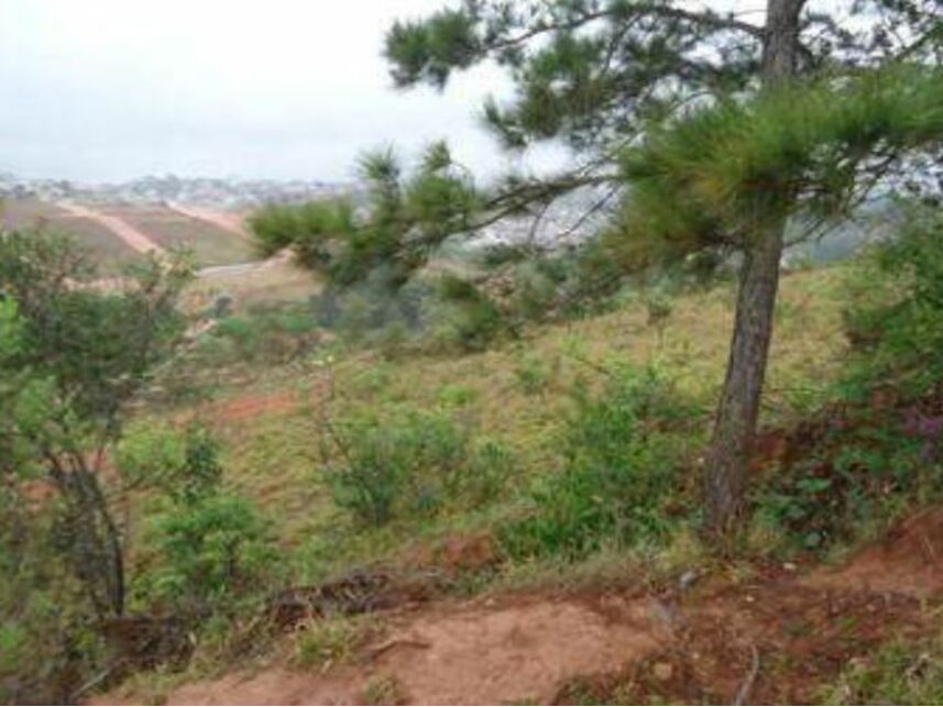 Imagem 4 do Leilão de Terreno - Grogotó - Barbacena/MG