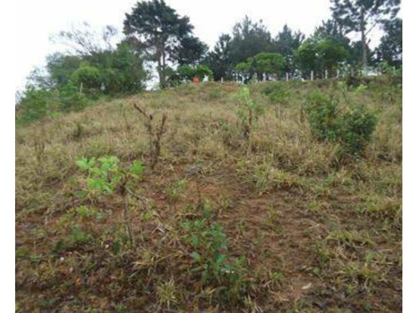 Imagem 9 do Leilão de Terreno - Grogotó - Barbacena/MG