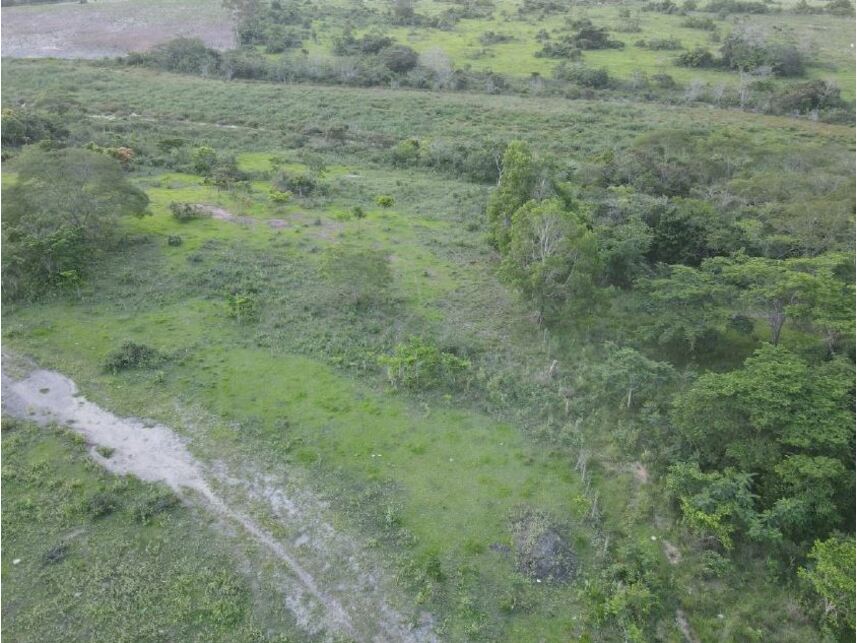 Imagem 5 do Leilão de Terreno - Área Rural - Campos dos Goytacazes/RJ