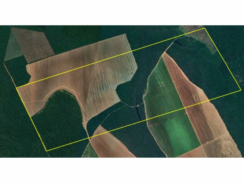 Imagem 1 do Leilão de Área Rural - Área Rural - São José do Rio Claro/MT