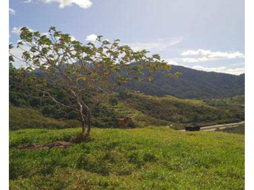 Imagem 10 do Leilão de Área Rural - Zona Rural - Casimiro de Abreu/RJ