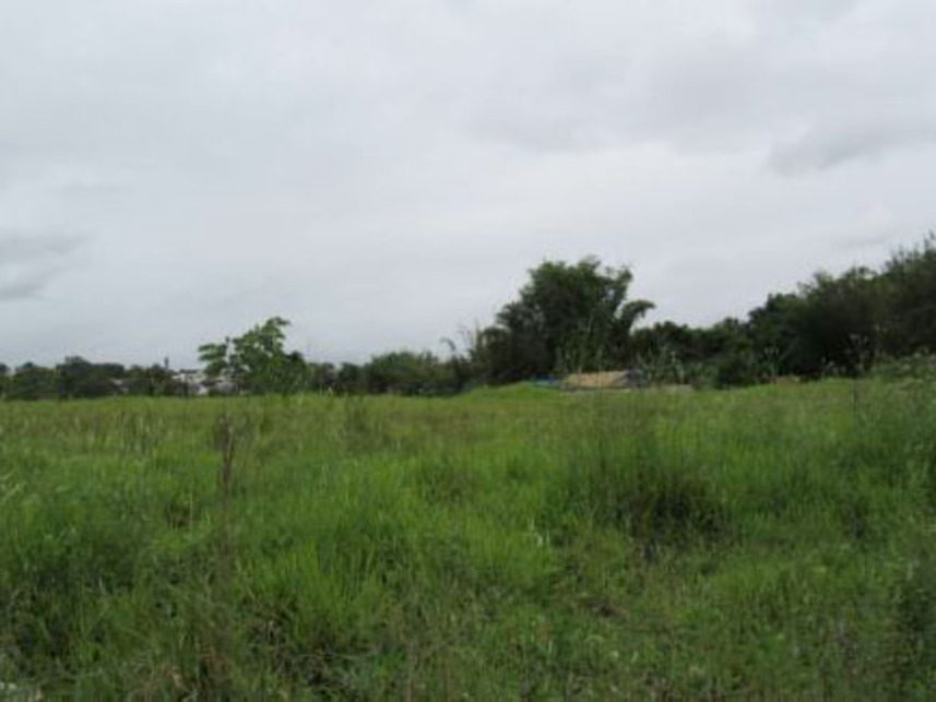 Imagem 5 do Leilão de Terreno - Gramado - Cotia/SP