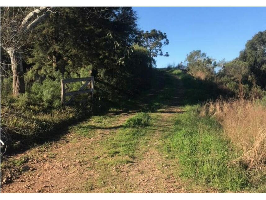 Imagem 16 do Leilão de Terreno - Interior - Marau/RS