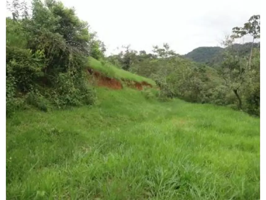 Imagem 7 do Leilão de Área Rural - Vargem Grande - Silva Jardim/RJ