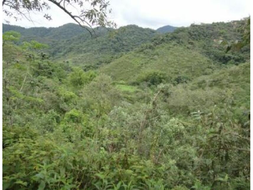 Imagem 6 do Leilão de Área Rural - Vargem Grande - Silva Jardim/RJ