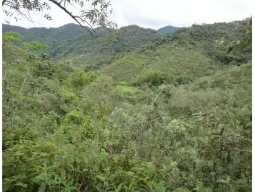 Imagem 6 do Leilão de Área Rural - Vargem Grande - Silva Jardim/RJ