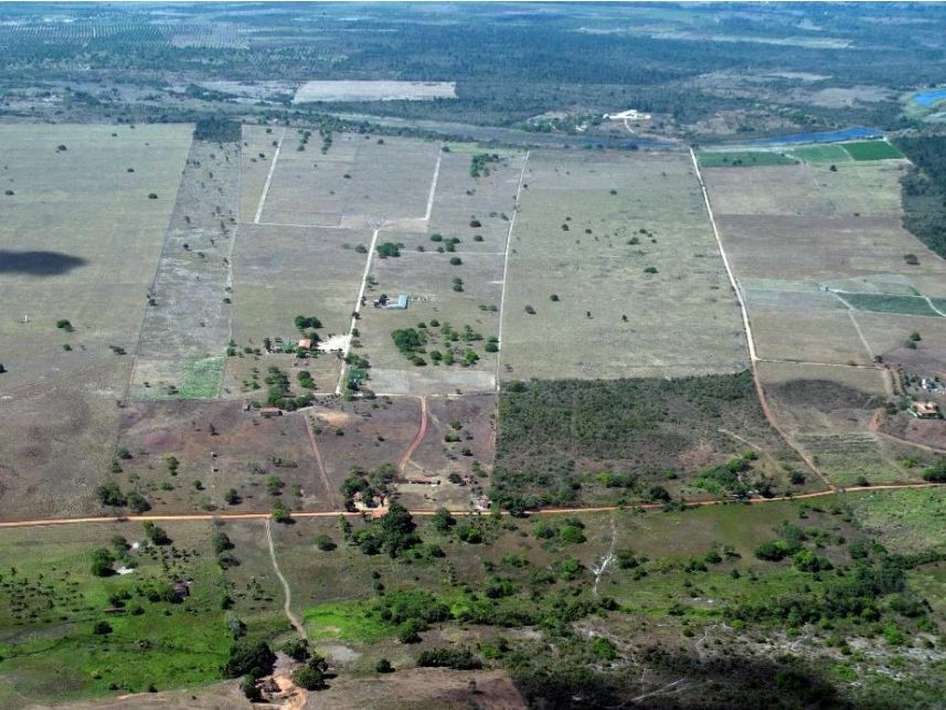 Imagem 13 do Leilão de Área Rural - Curralinho - Macaíba/RN