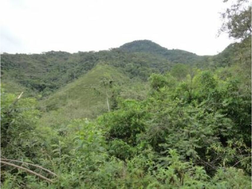 Imagem 8 do Leilão de Área Rural - Vargem Grande - Silva Jardim/RJ