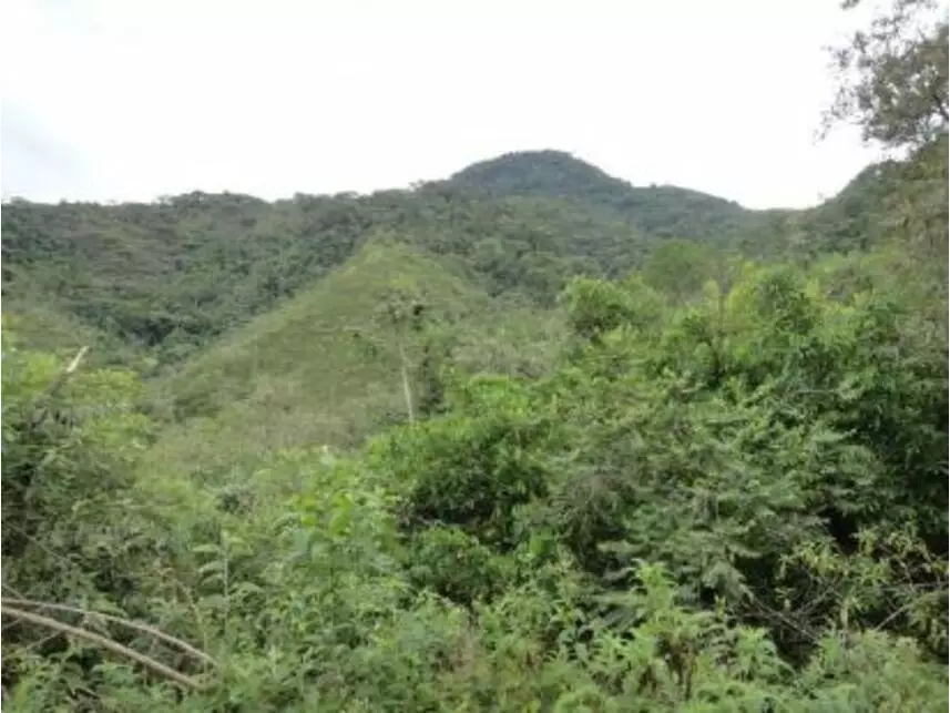 Imagem 8 do Leilão de Área Rural - Vargem Grande - Silva Jardim/RJ