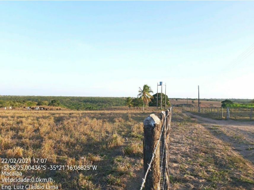 Imagem 4 do Leilão de Área Rural - Curralinho - Macaíba/RN