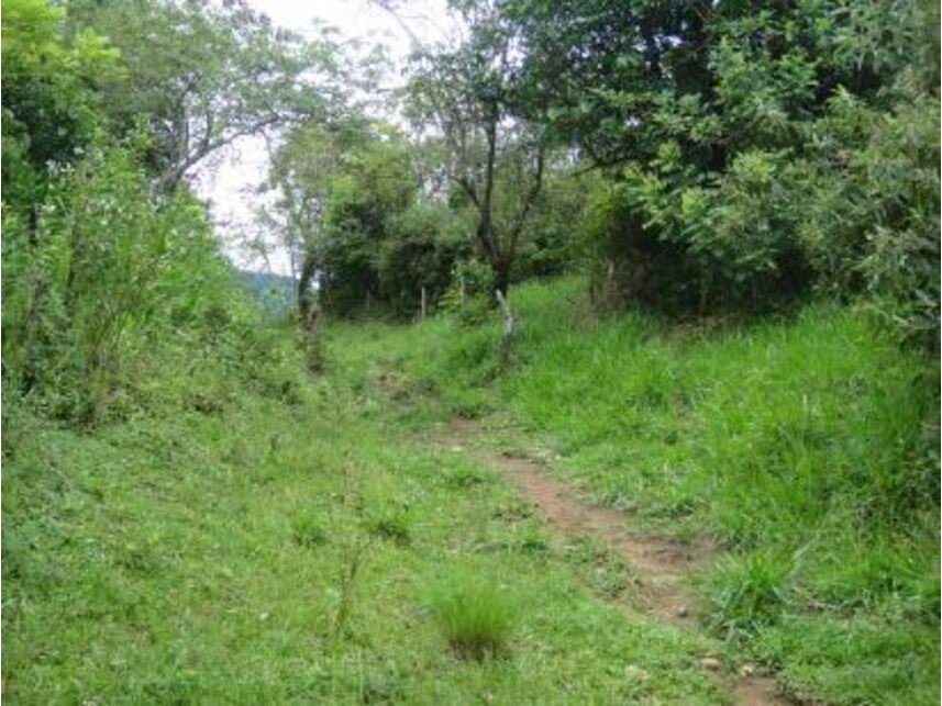 Imagem 3 do Leilão de Área Rural - Vargem Grande - Silva Jardim/RJ