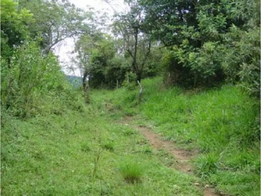 Imagem 3 do Leilão de Área Rural - Vargem Grande - Silva Jardim/RJ