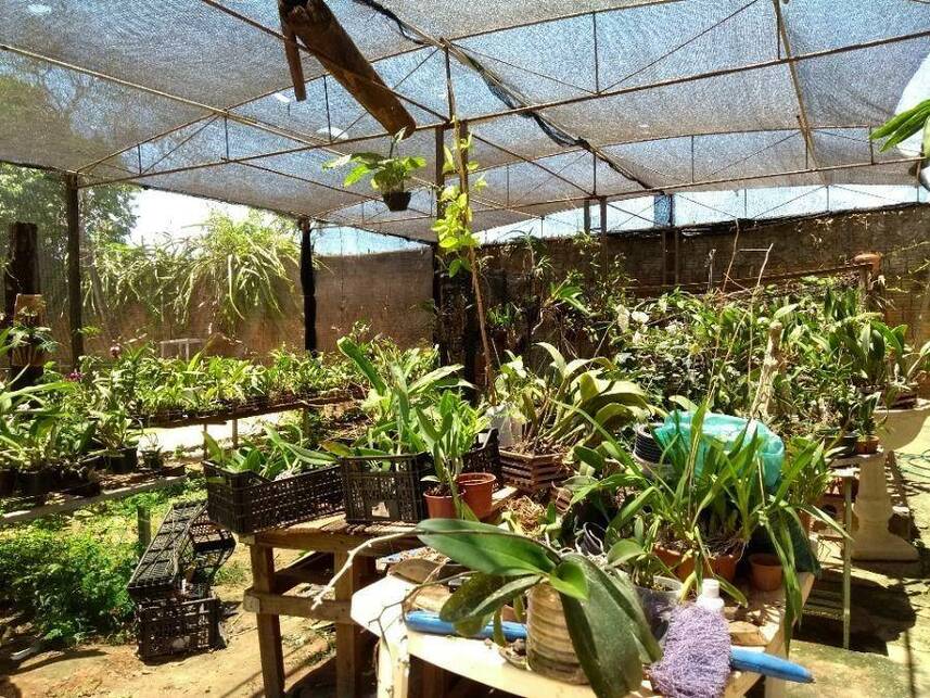 Imagem 25 do Leilão de Casa - Saúde - Guaiçara/SP