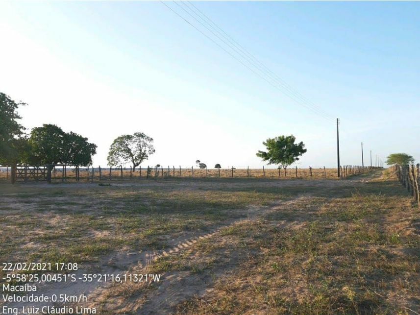 Imagem 6 do Leilão de Área Rural - Curralinho - Macaíba/RN