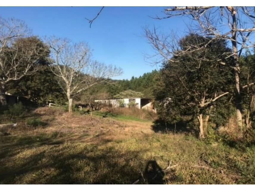 Imagem 20 do Leilão de Terreno - Interior - Marau/RS