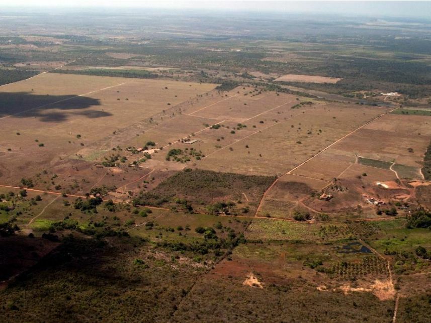 Imagem 11 do Leilão de Área Rural - Curralinho - Macaíba/RN