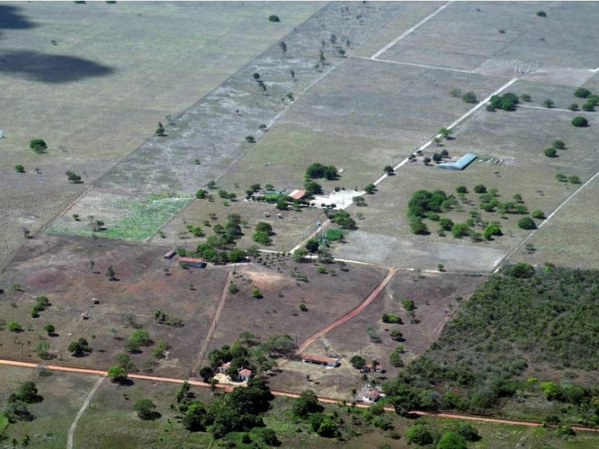 Imagem 9 do Leilão de Área Rural - Curralinho - Macaíba/RN