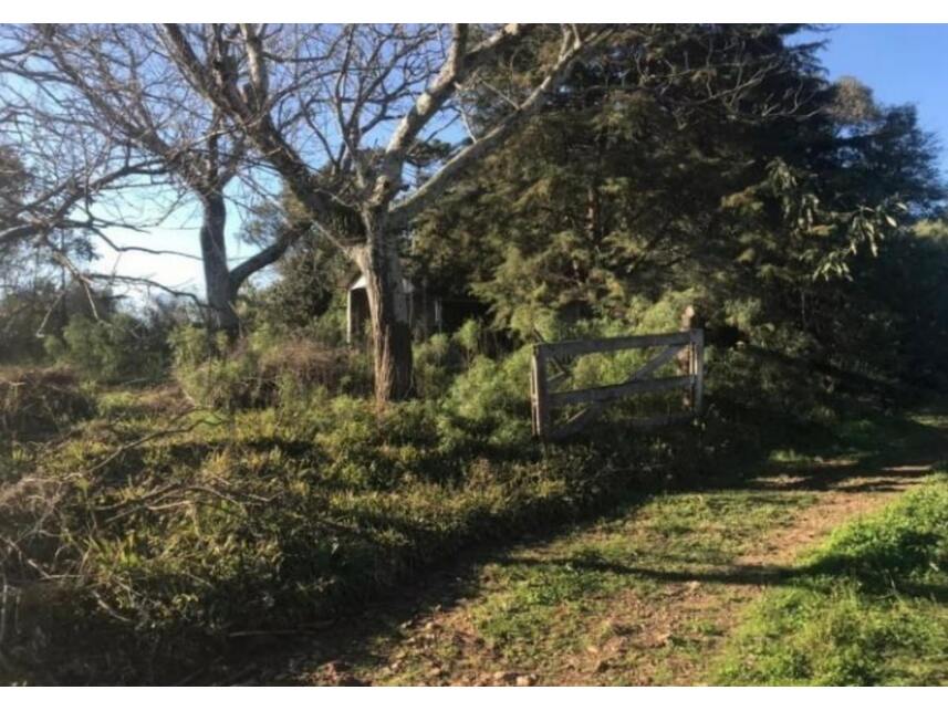 Imagem 12 do Leilão de Terreno - Interior - Marau/RS