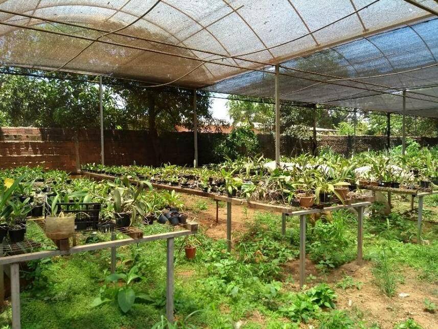 Imagem 26 do Leilão de Casa - Saúde - Guaiçara/SP