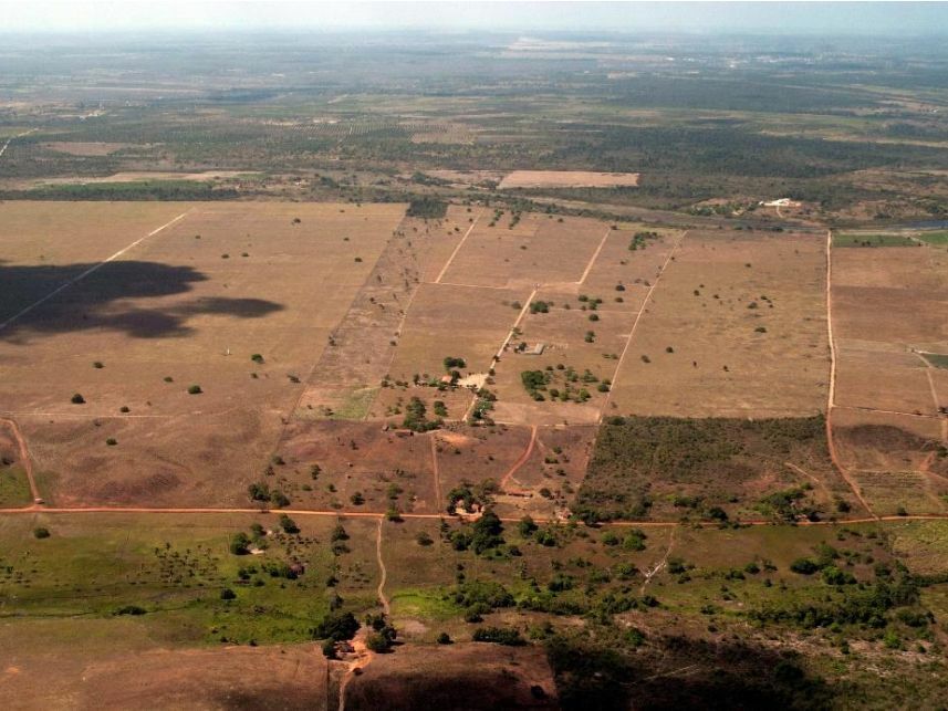 Imagem 16 do Leilão de Área Rural - Curralinho - Macaíba/RN