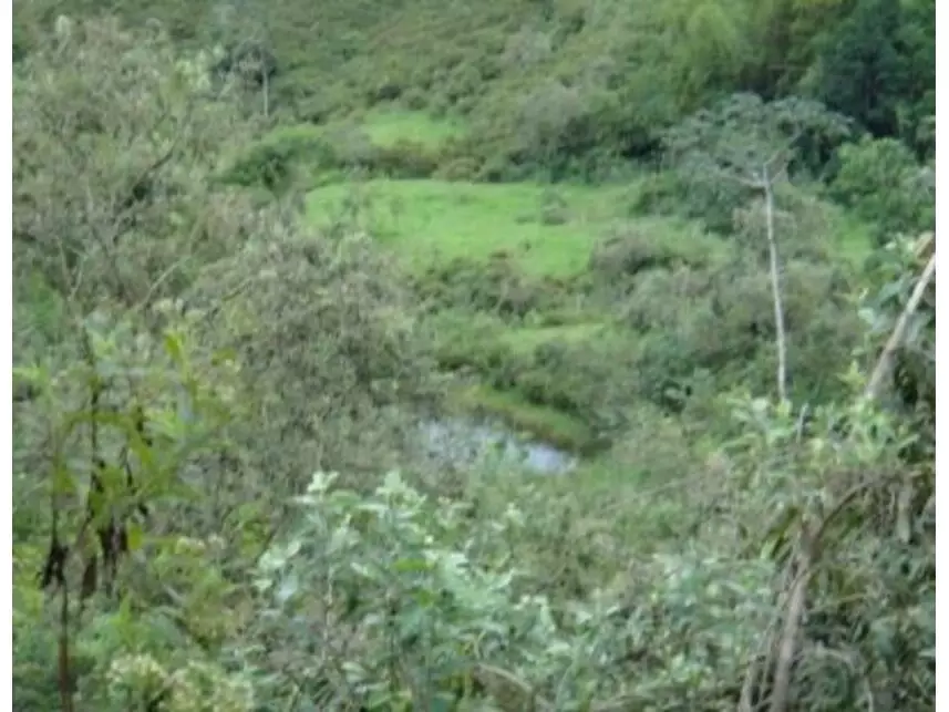 Imagem 10 do Leilão de Área Rural - Vargem Grande - Silva Jardim/RJ
