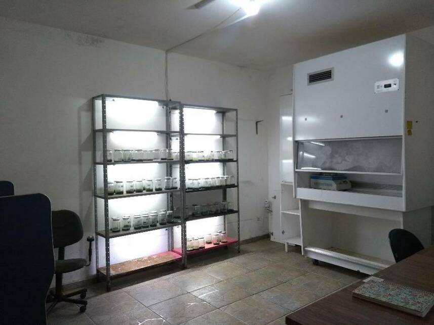 Imagem 13 do Leilão de Casa - Saúde - Guaiçara/SP