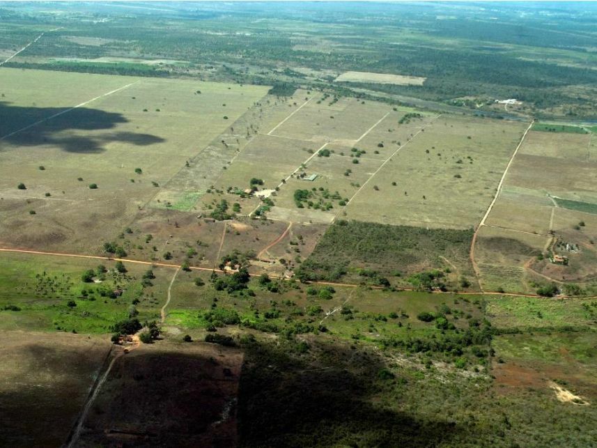 Imagem 17 do Leilão de Área Rural - Curralinho - Macaíba/RN