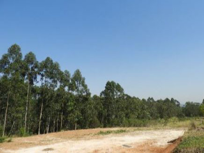 Imagem 3 do Leilão de Terrenos - Coloninha Zilli - Criciúma/SC