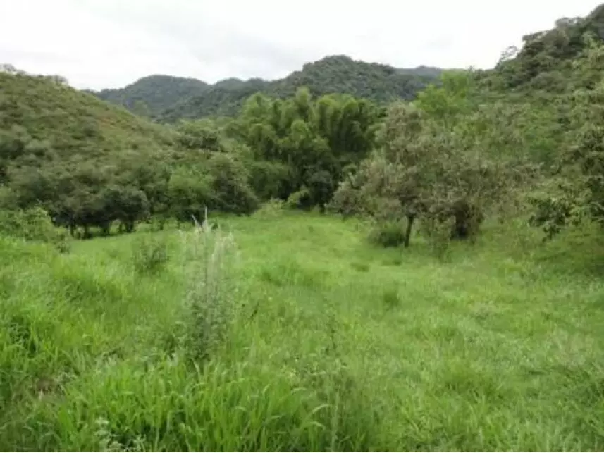 Imagem 11 do Leilão de Área Rural - Vargem Grande - Silva Jardim/RJ