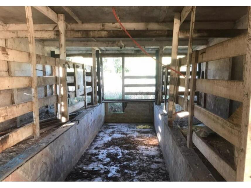 Imagem 4 do Leilão de Terreno - Interior - Marau/RS