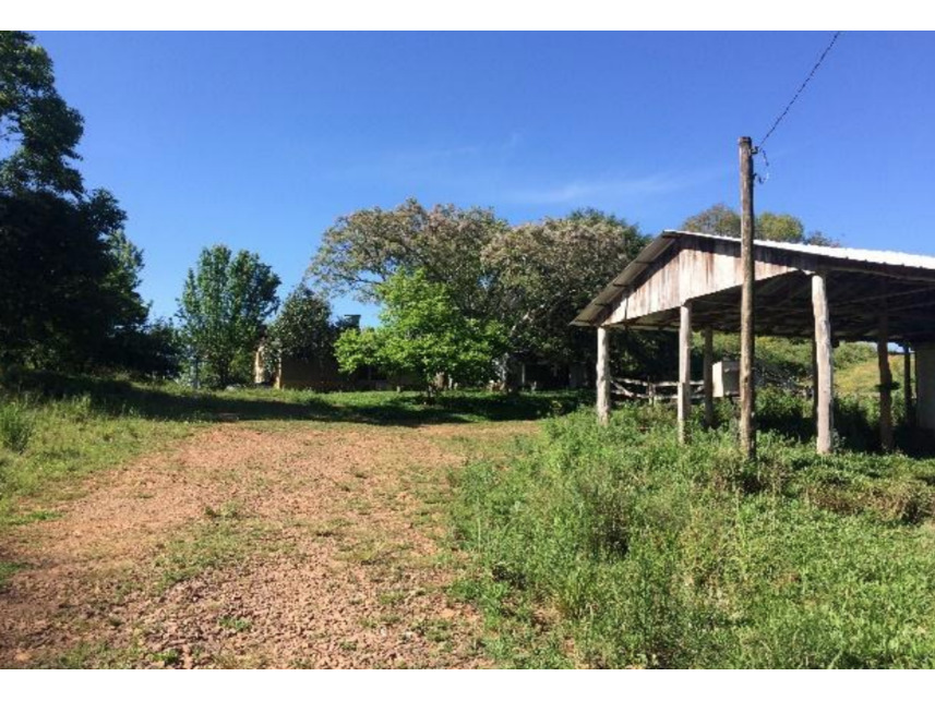 Imagem 21 do Leilão de Terreno - Interior - Marau/RS