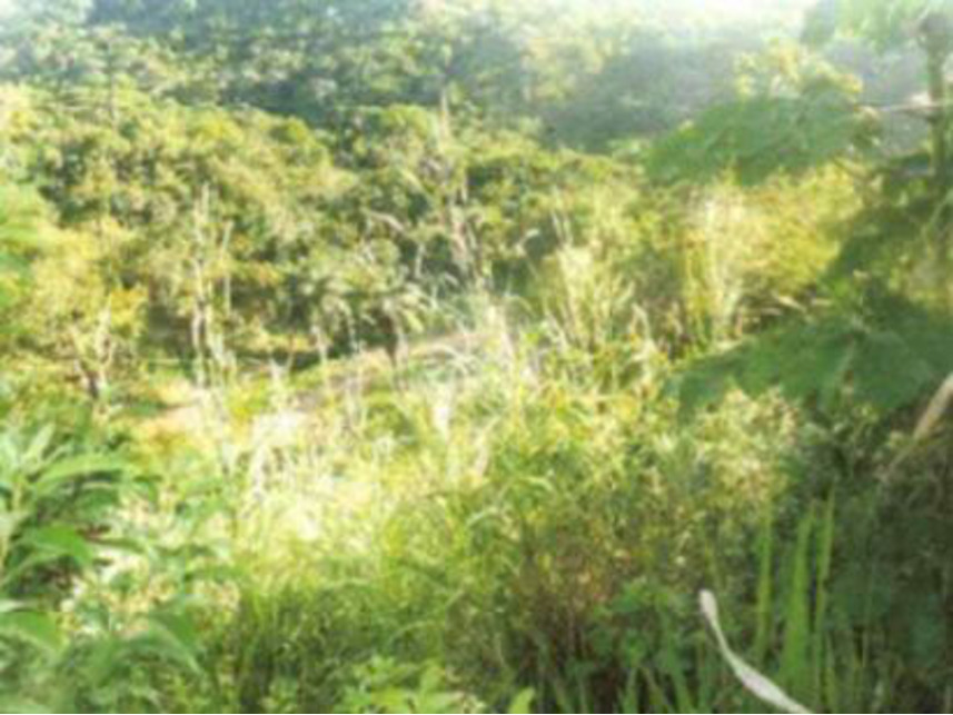 Imagem 3 do Leilão de Terreno - Loteamento Lagoa Azul - São Lourenço da Mata/PE