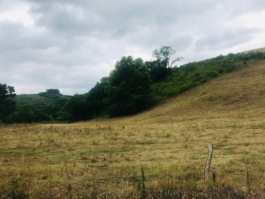 Imagem 19 do Leilão de Terreno - Interior - Marau/RS