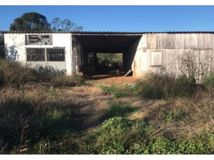 Imagem 22 do Leilão de Terreno - Interior - Marau/RS