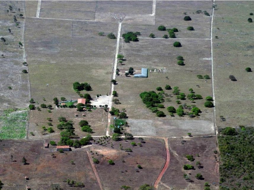 Imagem 10 do Leilão de Área Rural - Curralinho - Macaíba/RN