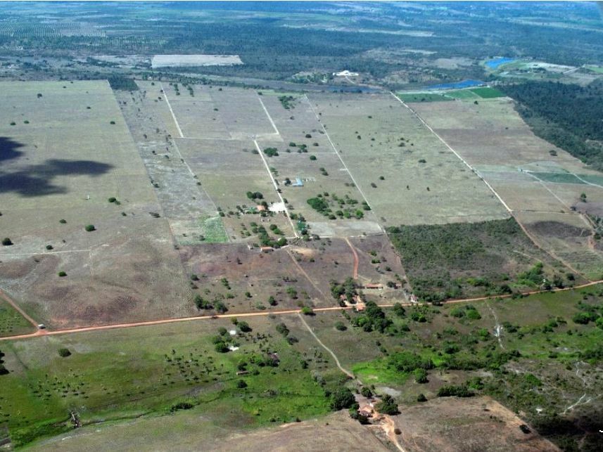 Imagem 14 do Leilão de Área Rural - Curralinho - Macaíba/RN