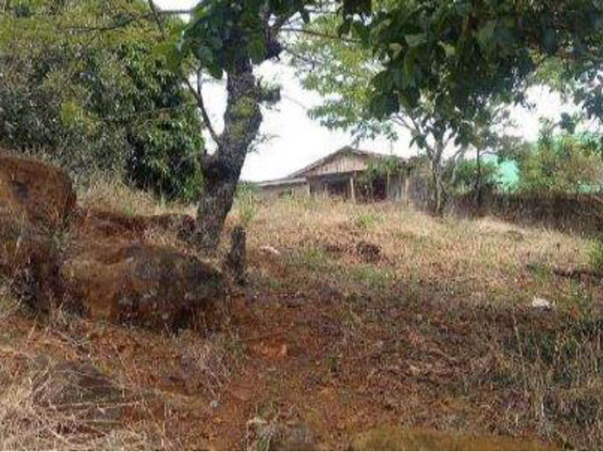 Imagem 15 do Leilão de Casa - Centro - Guaraniaçu/PR