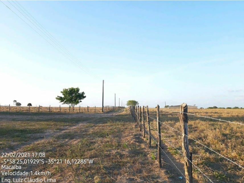 Imagem 3 do Leilão de Área Rural - Curralinho - Macaíba/RN