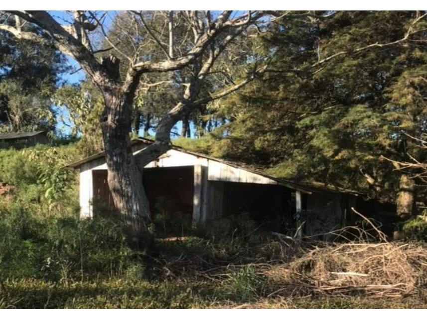 Imagem 6 do Leilão de Terreno - Interior - Marau/RS