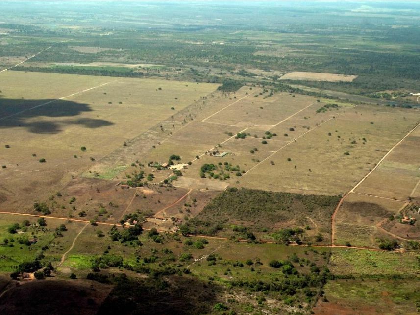 Imagem 18 do Leilão de Área Rural - Curralinho - Macaíba/RN