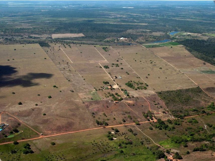 Imagem 12 do Leilão de Área Rural - Curralinho - Macaíba/RN