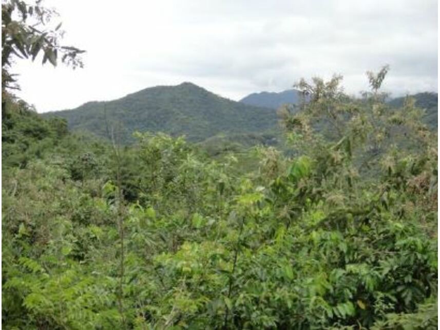 Imagem 4 do Leilão de Área Rural - Vargem Grande - Silva Jardim/RJ