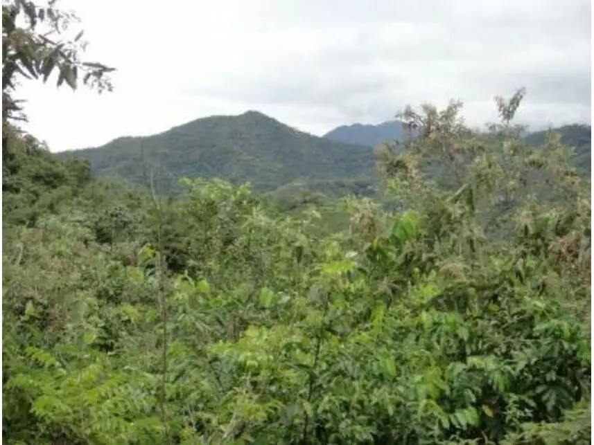 Imagem 4 do Leilão de Área Rural - Vargem Grande - Silva Jardim/RJ