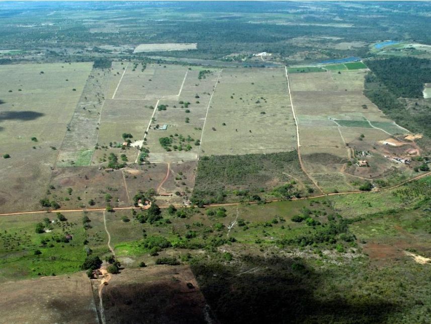 Imagem 8 do Leilão de Área Rural - Curralinho - Macaíba/RN