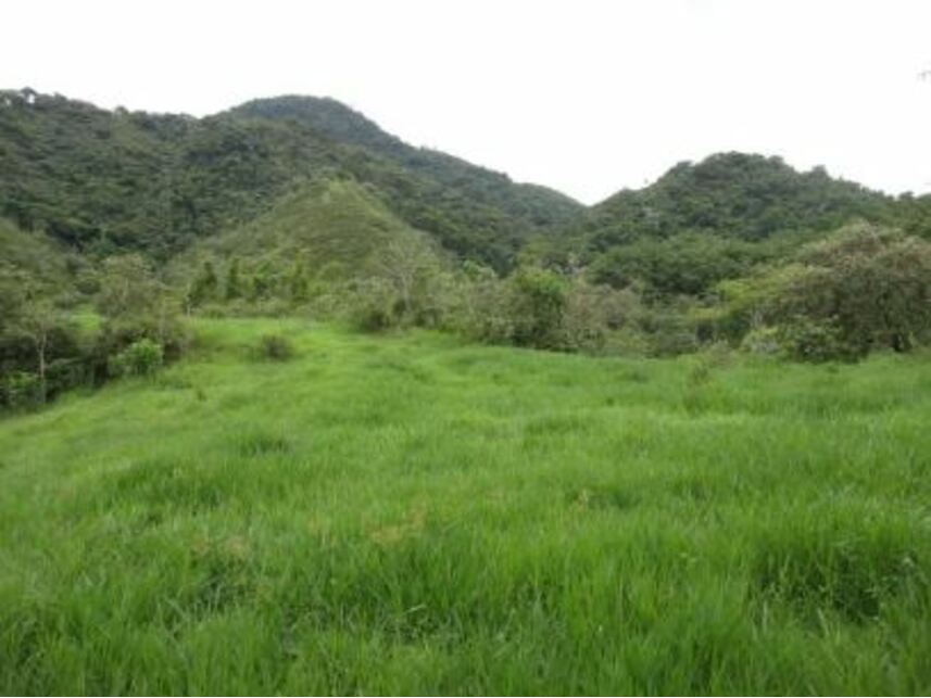 Imagem 9 do Leilão de Área Rural - Vargem Grande - Silva Jardim/RJ