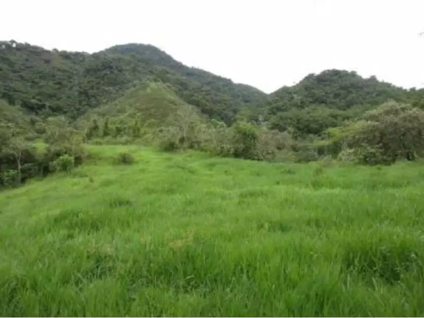 Imagem 9 do Leilão de Área Rural - Vargem Grande - Silva Jardim/RJ