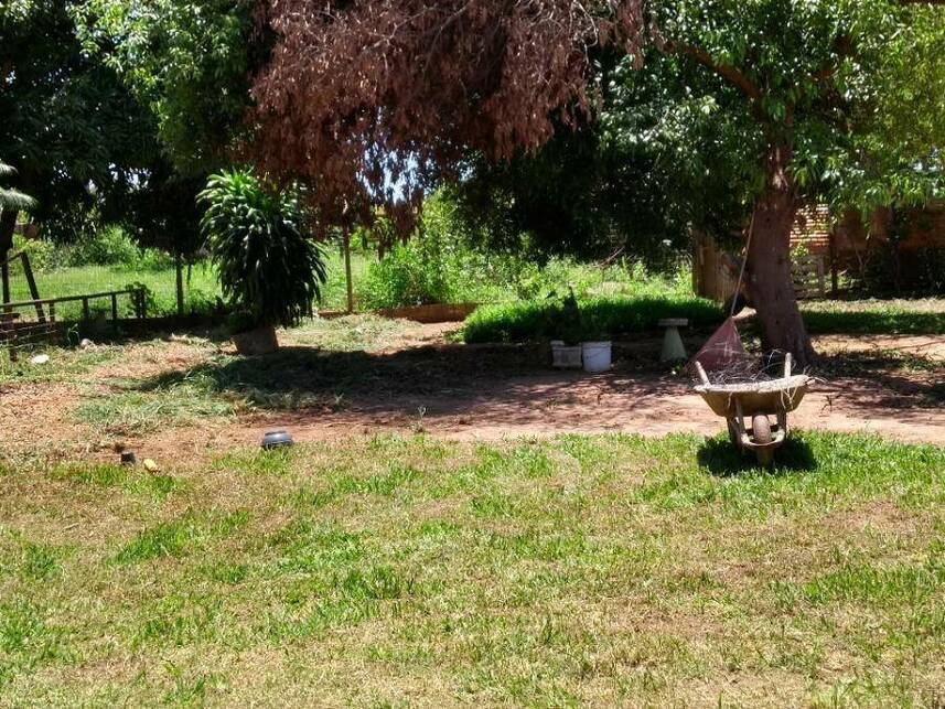 Imagem 25 do Leilão de Casa - Saúde - Guaiçara/SP