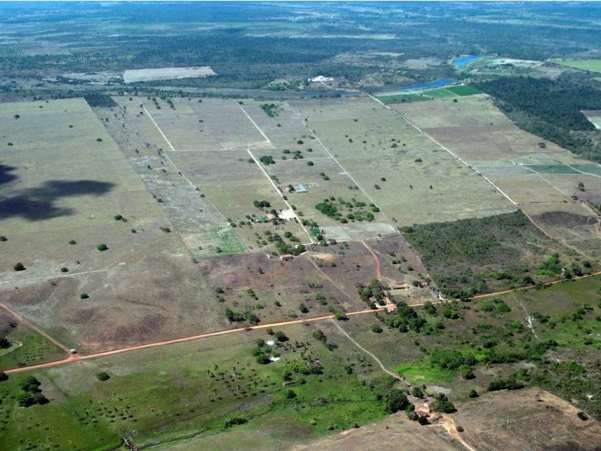 Imagem 15 do Leilão de Área Rural - Curralinho - Macaíba/RN