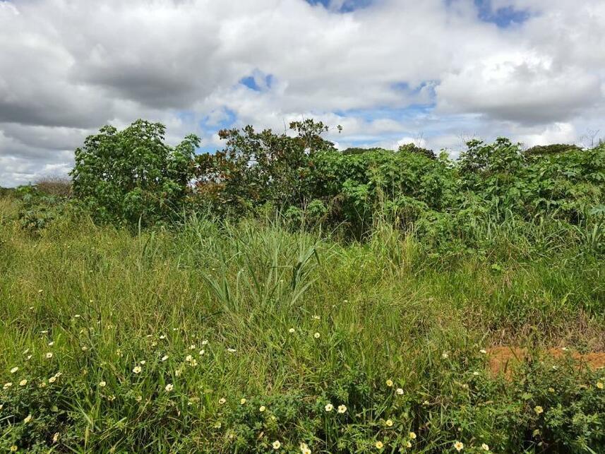 Imagem 4 do Leilão de Terreno - Parque Jk - Luziânia/GO