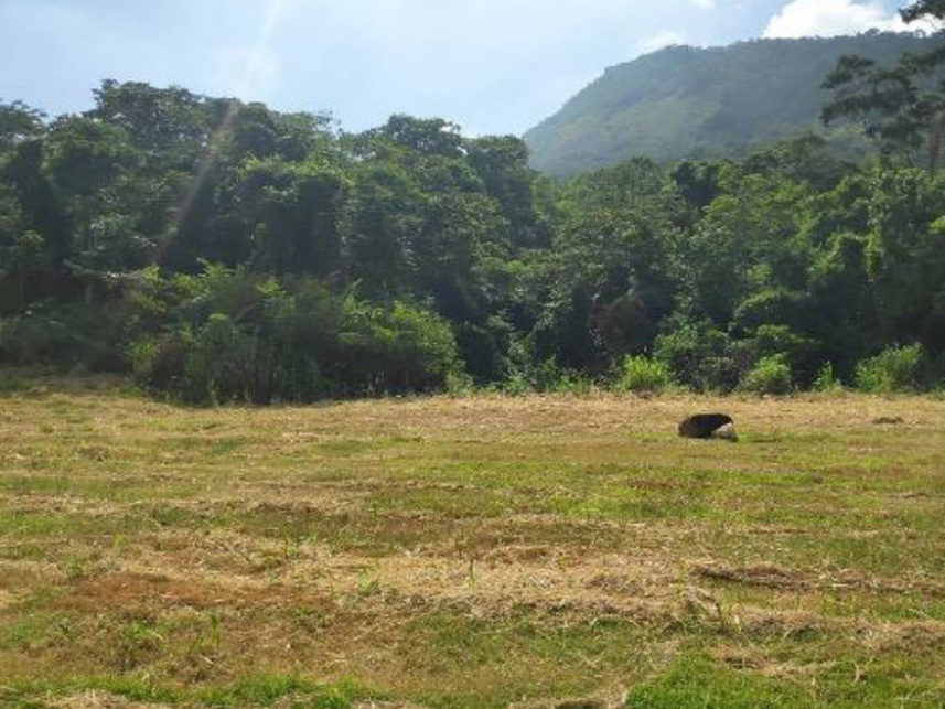 Imagem 1 do Leilão de Terreno - Pilar - Maricá/RJ